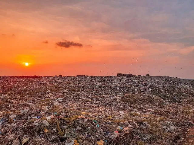 Vuilstort in Berkel en Rodenrijs